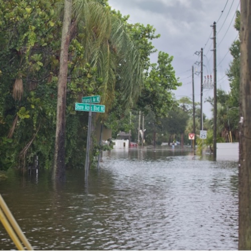 Caring for Pregnant and Postpartum People During Hurricanes and Other Public Health Emergencies